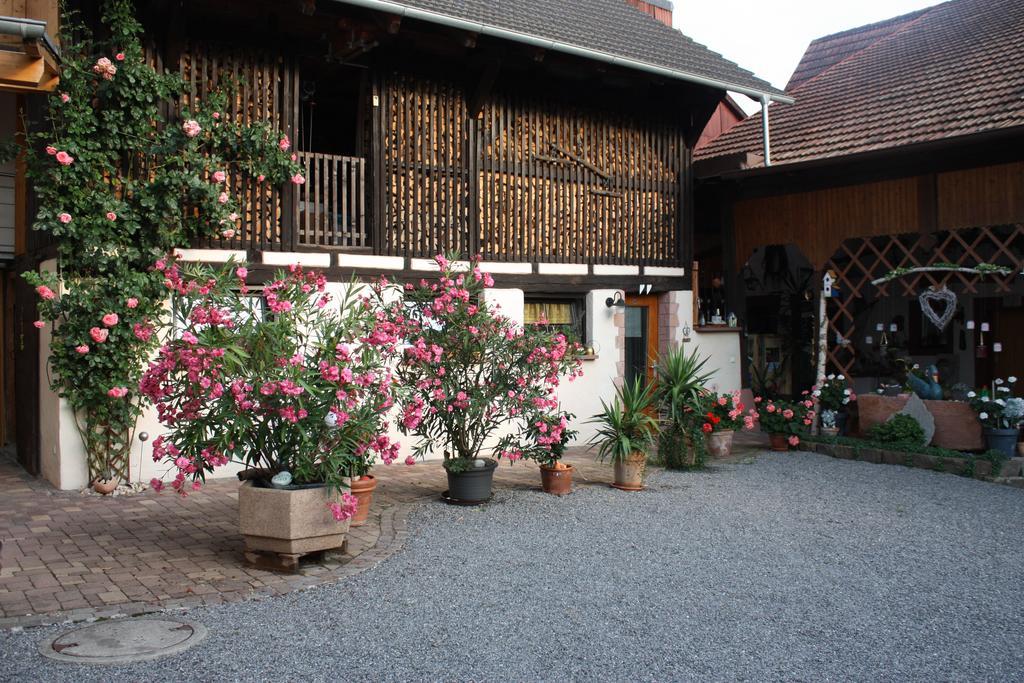 Ferienwohnung Fam. Hoehn Kappel-Grafenhausen Exterior foto