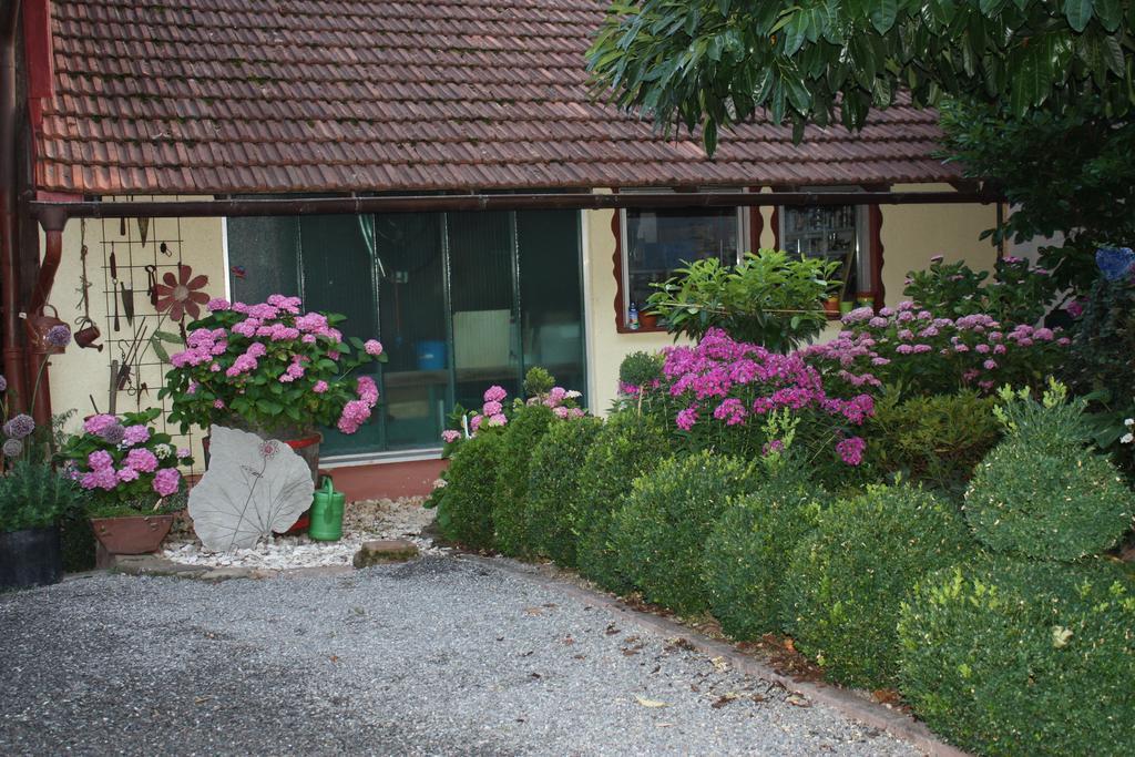 Ferienwohnung Fam. Hoehn Kappel-Grafenhausen Exterior foto